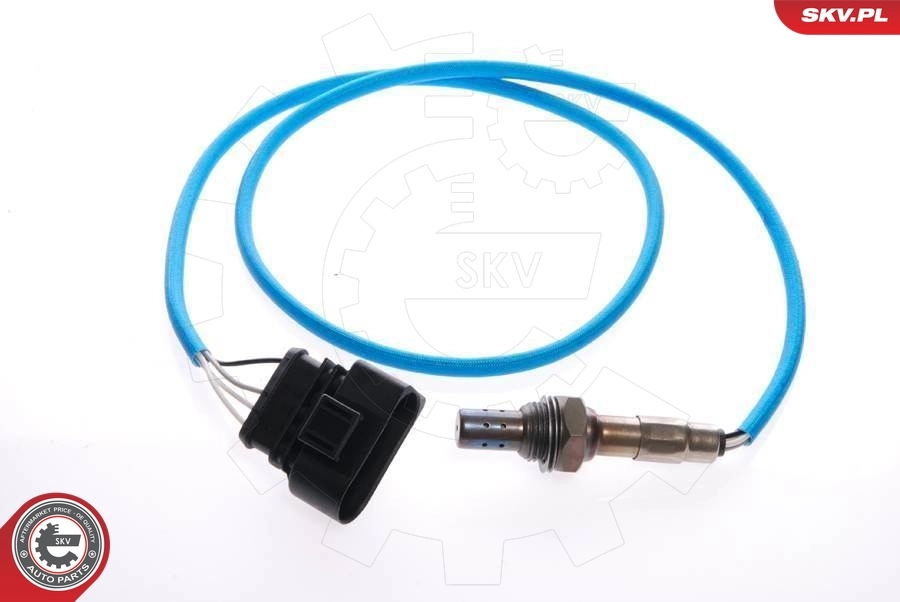 Oxygen Sensor